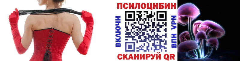 Галлюциногенные грибы MAGIC MUSHROOMS  Южа 
